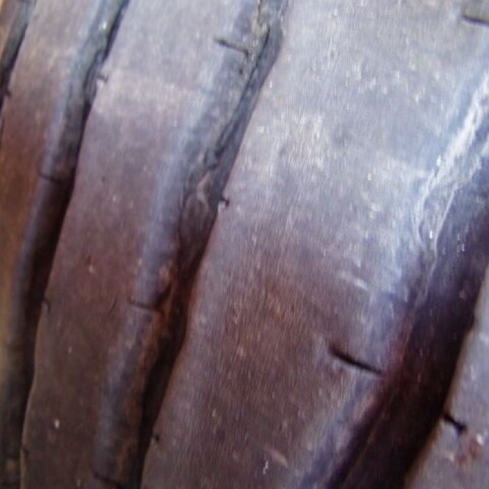 MAN 26.430, CRANE FASSI150A24 - Remote control