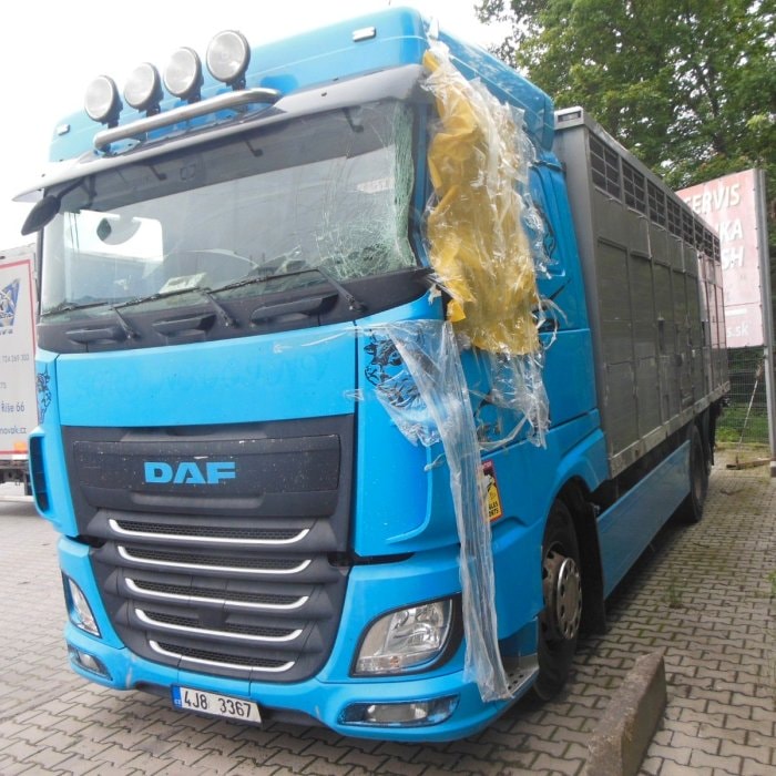 DAF XF 106.460, MENKE-JANZEN, ACCIDENT-DRIVABLE!!