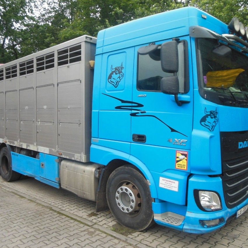 DAF XF 106.460, MENKE-JANZEN, ACCIDENT-DRIVABLE!!